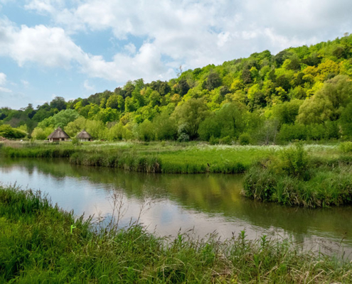 British wetland scene