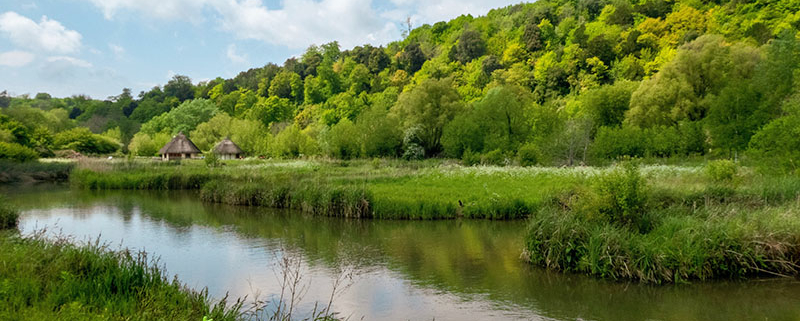 British wetland scene